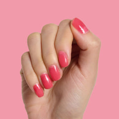 Spring Polish Set