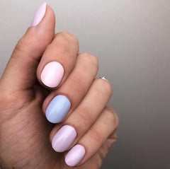 The Spring 2019 Set