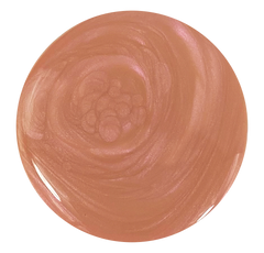 Sandy Scallop